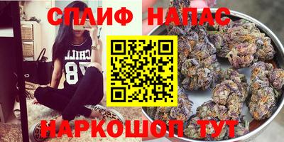 кокс Краснодар