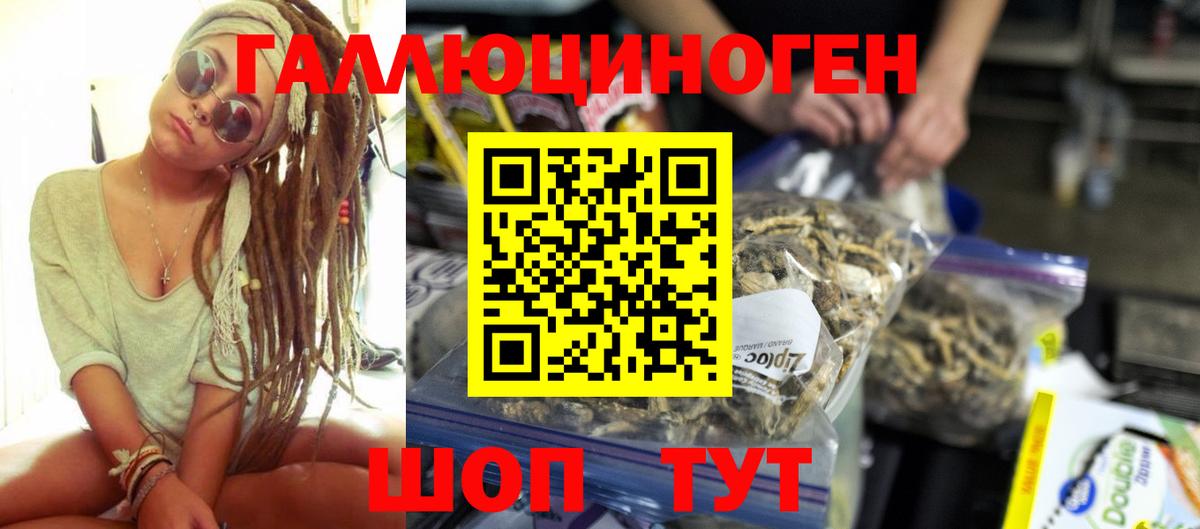 Псилоцибиновые грибы прущие грибы Кировск